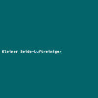 Kleiner Seide-Luftreiniger