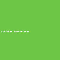 Schickes Samt-Kissen
