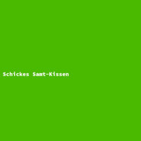 Schickes Samt-Kissen