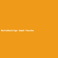 Reichhaltige Samt-Tasche