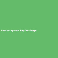 Hervorragende Kupfer-Zange