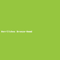 Herrliches Bronze-Hemd