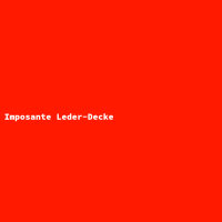 Imposante Leder-Decke