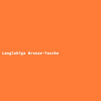 Langlebige Bronze-Tasche
