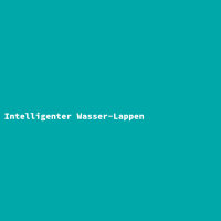 Intelligenter Wasser-Lappen