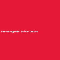 Hervorragende Seide-Tasche