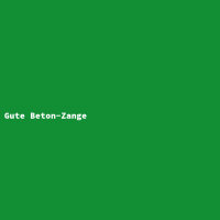Gute Beton-Zange