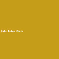 Gute Beton-Zange