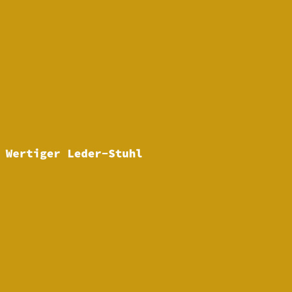 Wertiger Leder-Stuhl