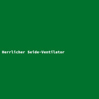 Herrlicher Seide-Ventilator